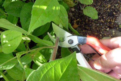 Low Maintenance Gardening - 6 Tips to Spend More Time Enjoying your Garden