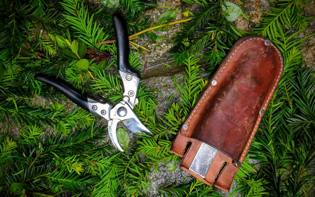 What are the Best Pruners